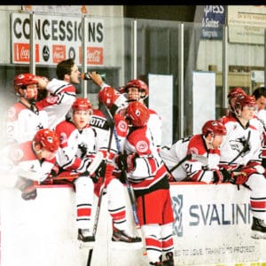 Hockey team celebrating a goal at their bench on the ice