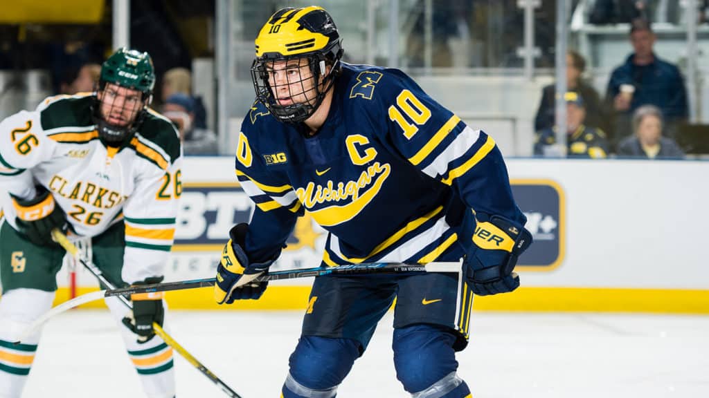 Michigan college hockey