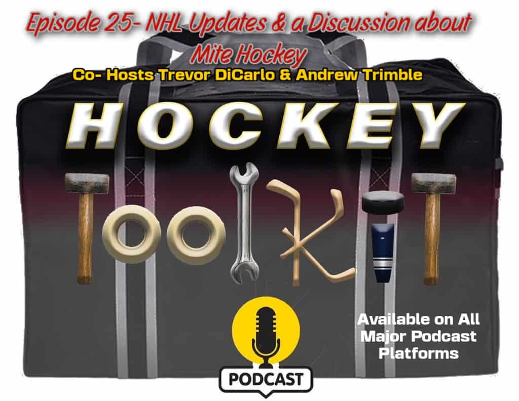 The Hockey Toolkit S2 EP5 - 8U Hockey - This Is Why We Can't Have Nice Things! - The Hockey Focus
