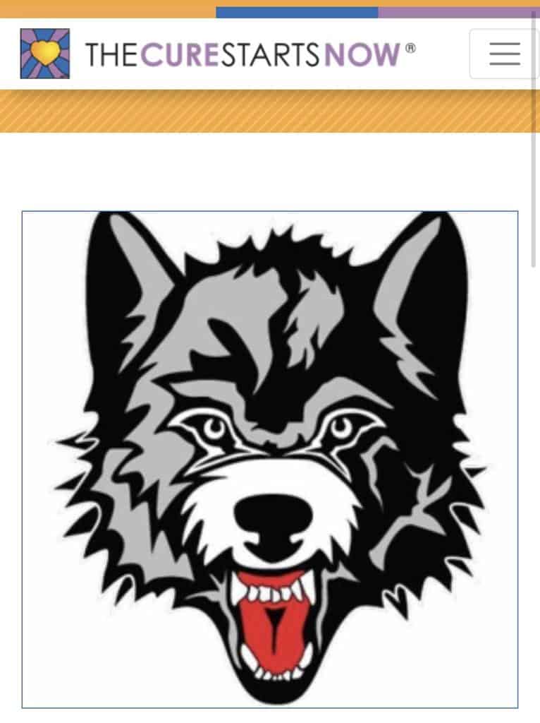 Junior Hockey News... New England Wolves plan two Community Service Initiatives to kick off the season Junior Hockey News... New England Wolves plan two Community Service Initiatives to kick off the season - The Hockey Focus