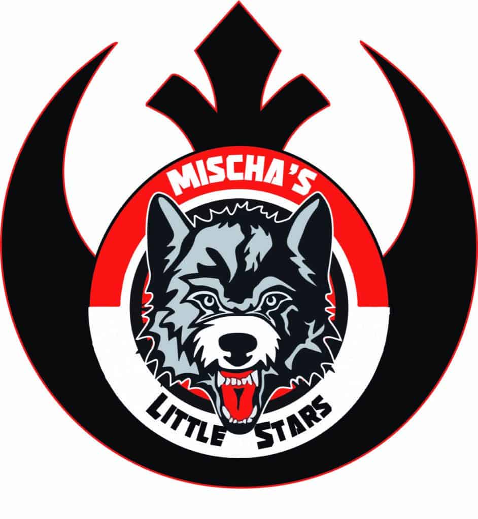 Junior Hockey News... New England Wolves plan two Community Service Initiatives to kick off the season Junior Hockey News... New England Wolves plan two Community Service Initiatives to kick off the season - The Hockey Focus
