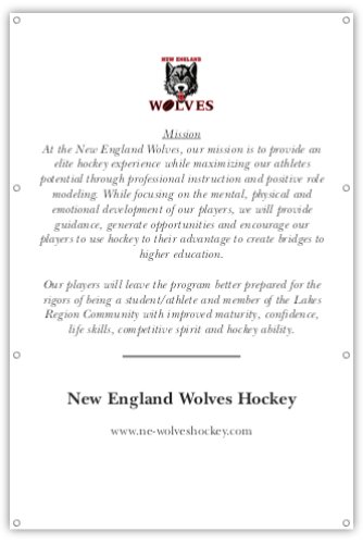 What are some Red Flags in a Youth Hockey Organization? - The Hockey Focus