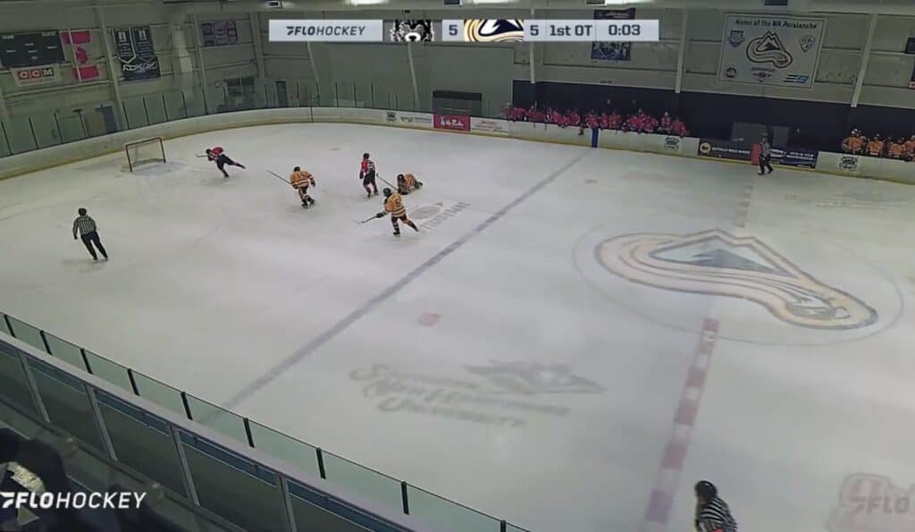 How successful, statistically, is pulling the goalie In Overtime? How successful, statistically, is pulling the goalie In Overtime? - The Hockey Focus